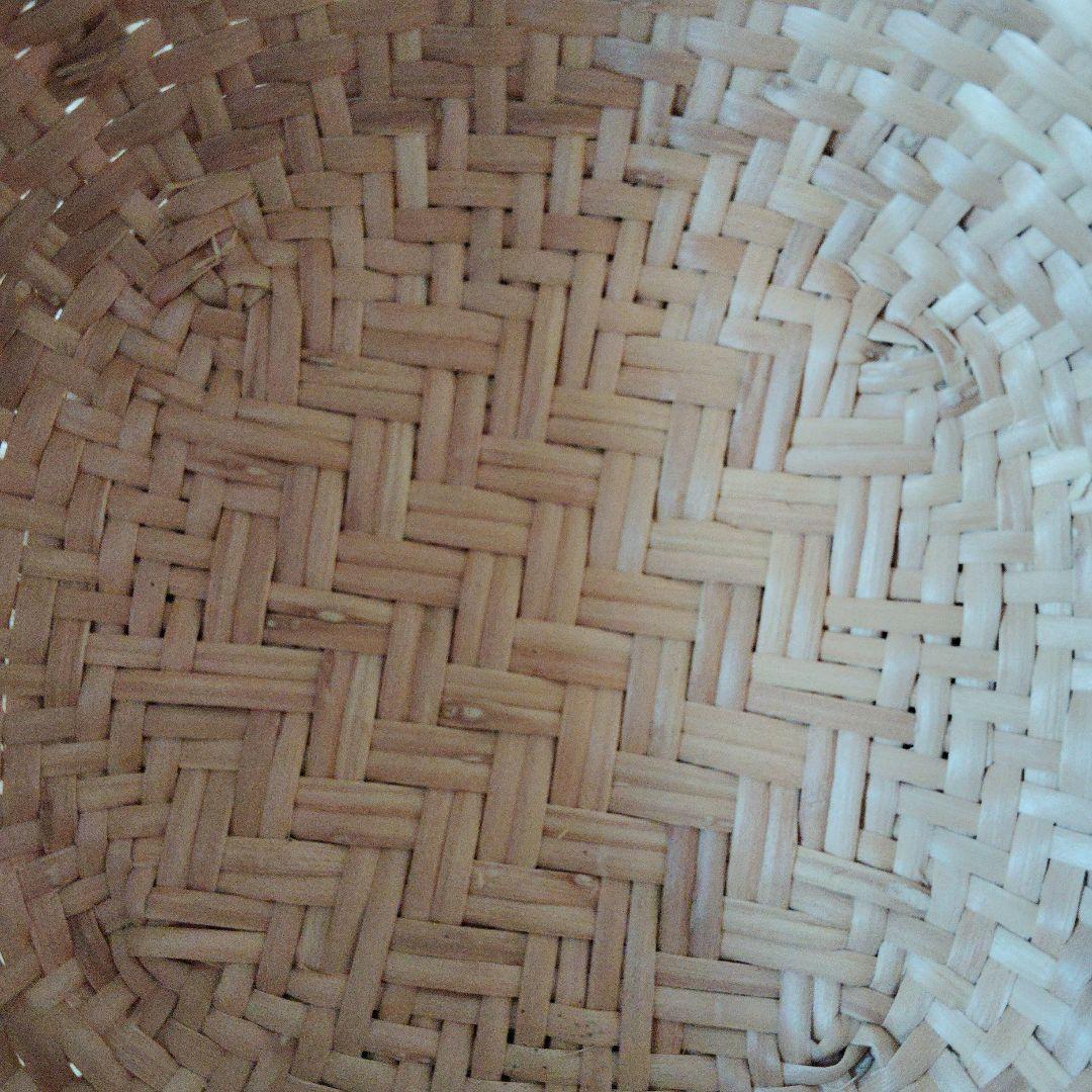 奥会津産マタタビザル