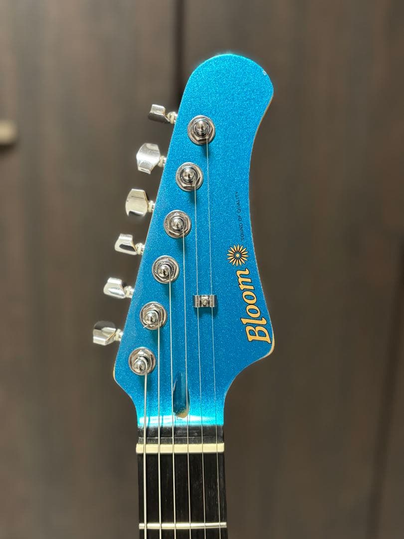 ストラトキャスター エレキギター