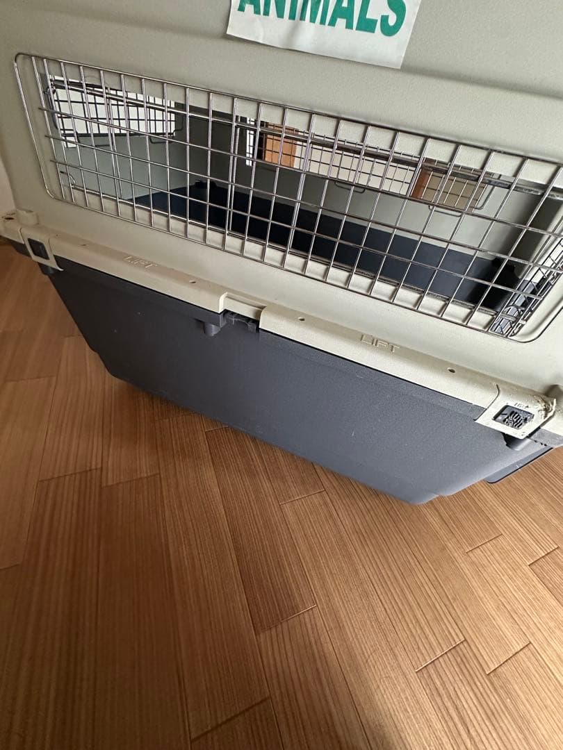 バリケンネル　Lサイズ　大型犬　【千葉市】引き取り希望