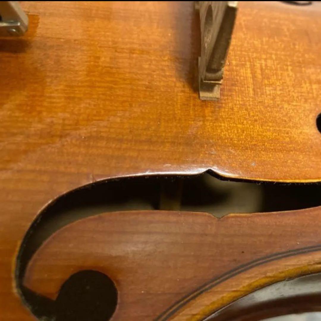 カールヘフナー　4/4 バーズアイ(鳥目杢)