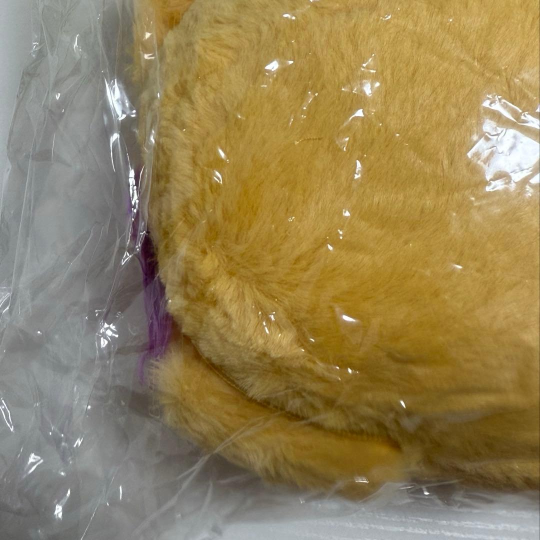 NCT WISH シオン シオニン ペンライトバッグ 正規品