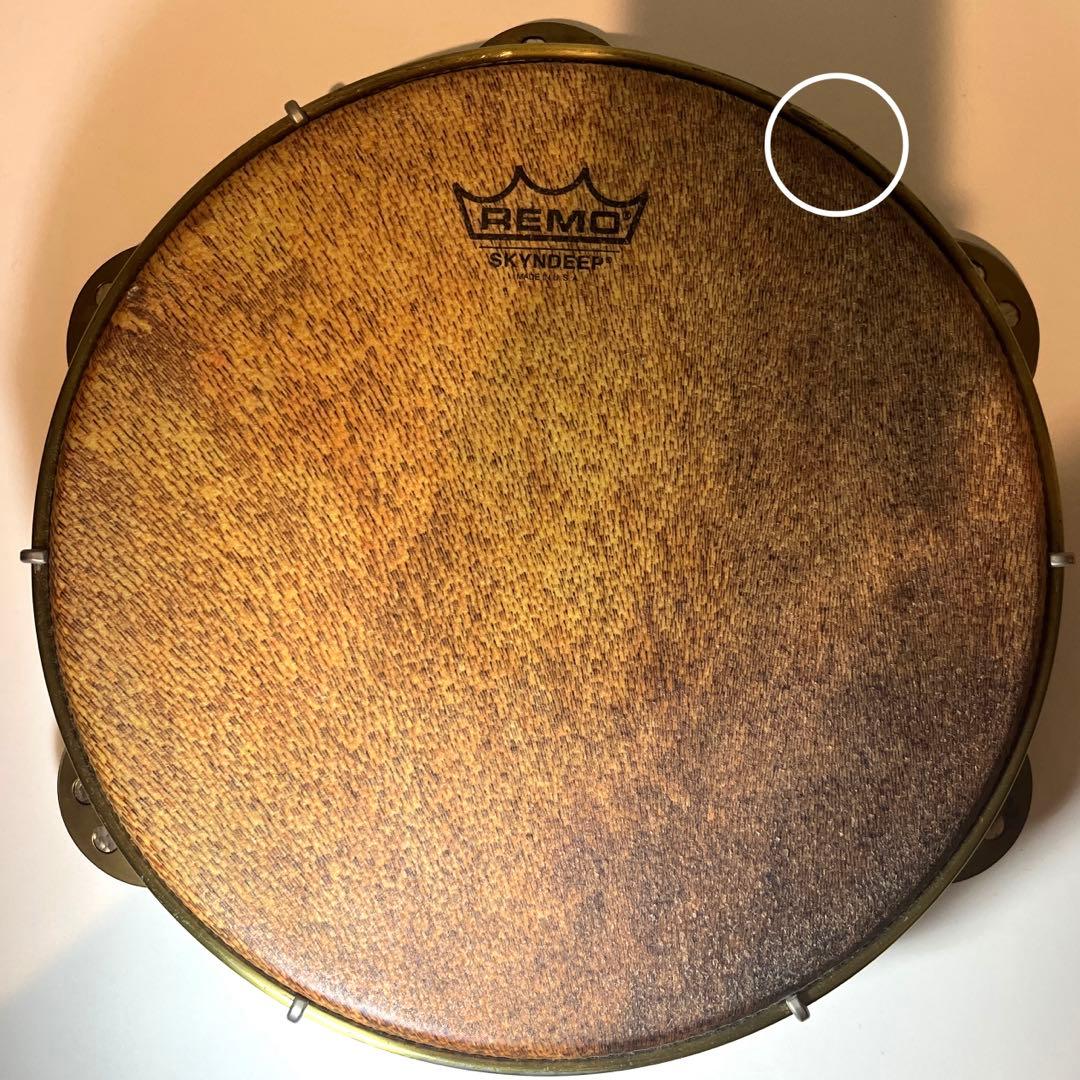 REMO パンデイロ(10インチ) SKYNDEEPヘッド(プラヘッド) USA