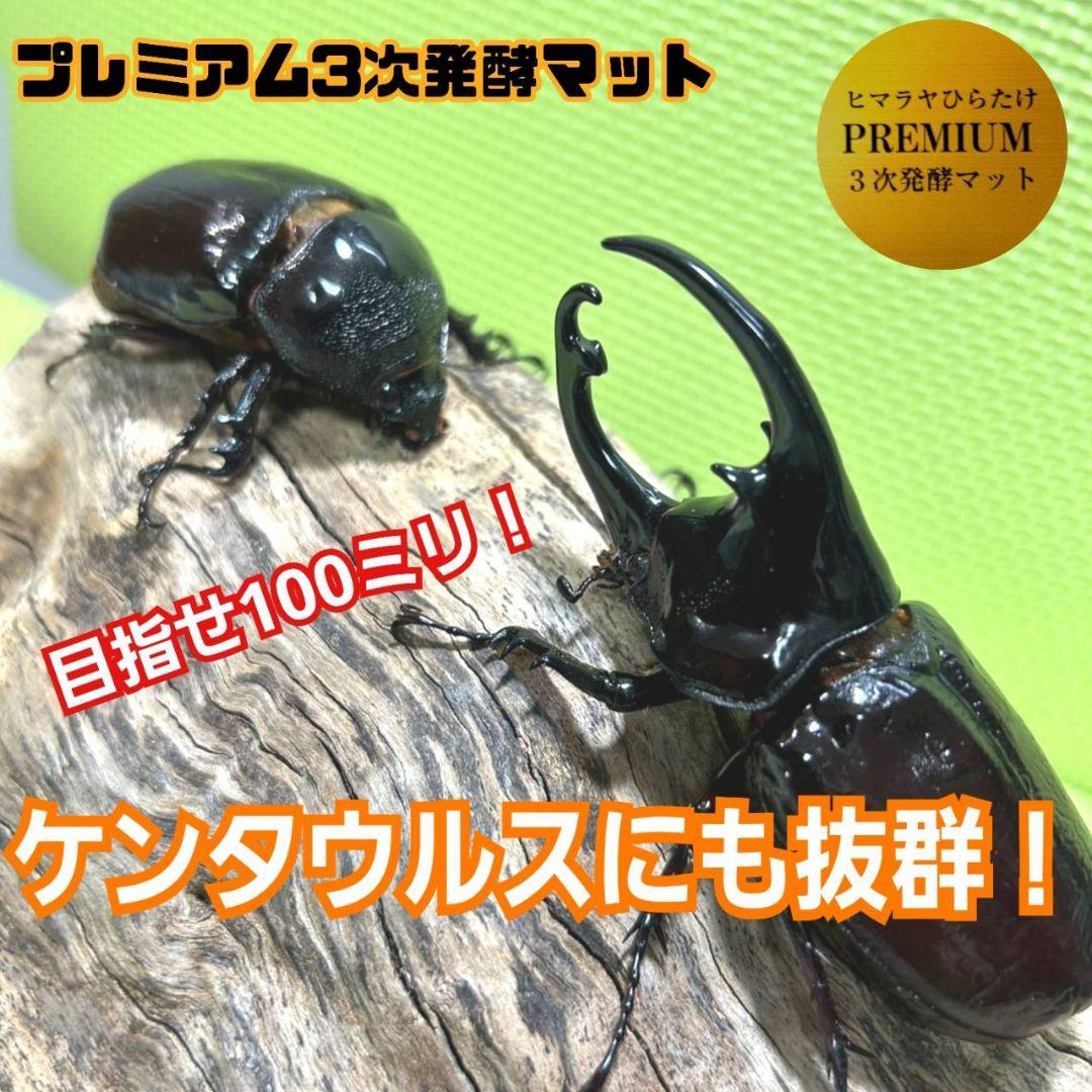 極上！プレミアム3次発酵ヘラクレスマット【4袋セット】幼虫巨大化！産卵にも抜群