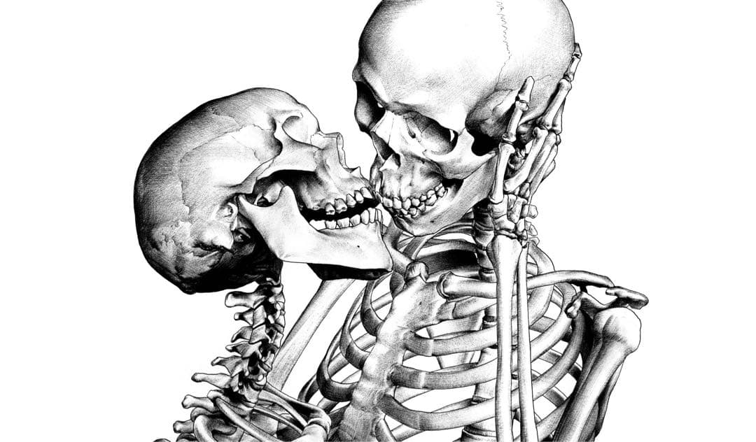 The BONEZ TOUR WOKE Anthem Tシャツ XL