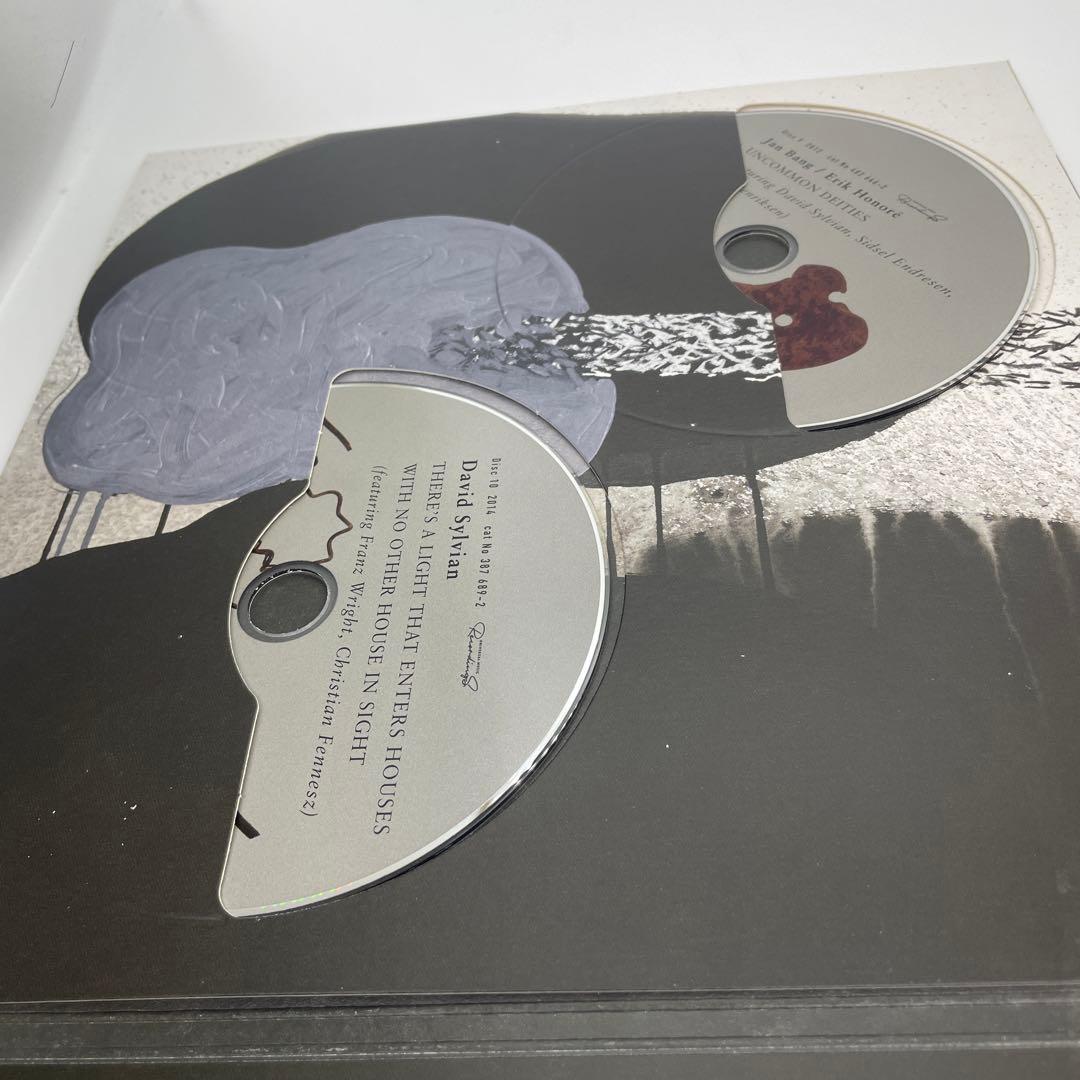 Do You Know Me Now? (修正盤付) David Sylvian