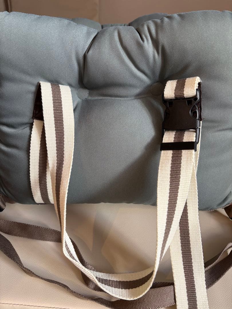 ペットパラダイス スヌーピー ドライブベッド