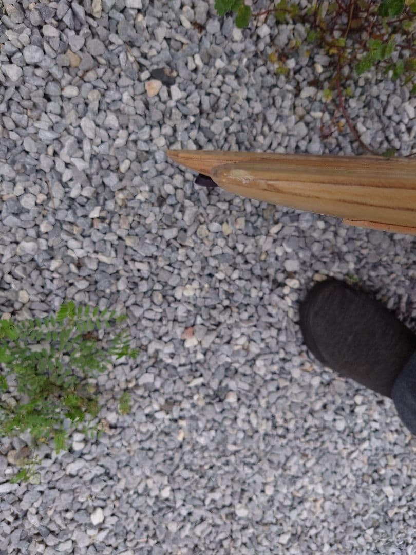 TTT.MO　　firewire　SEASIDE＆BEYOND　7.6F