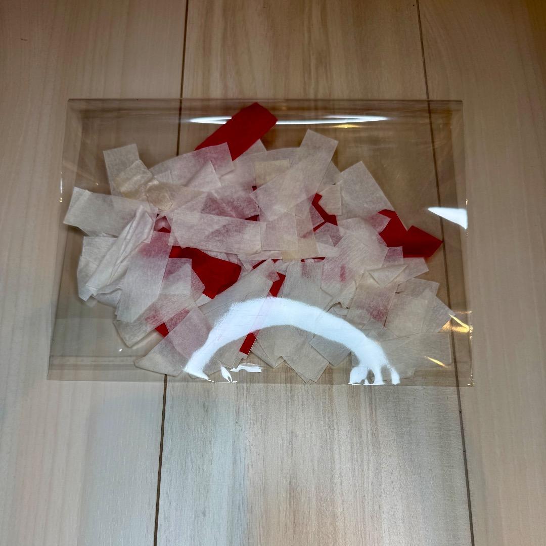 KISS 2019来日 VIPグッズ 直筆サイン 他おまけ付き！！