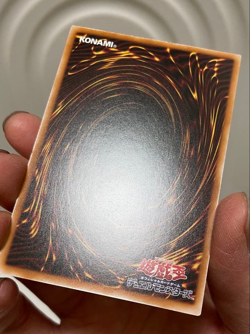 【最安値】エルフェンノーツ　レギナ　プリシク