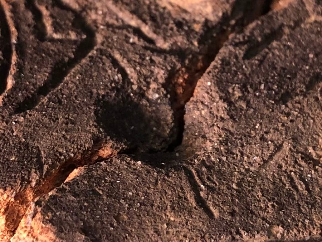 「板状土偶の破片」です。