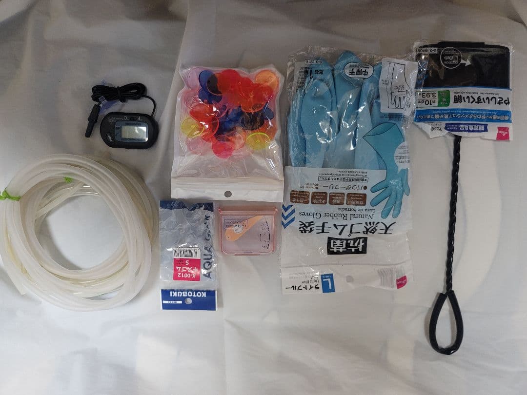 KOTOBUKI Progre 曲げガラス水槽60