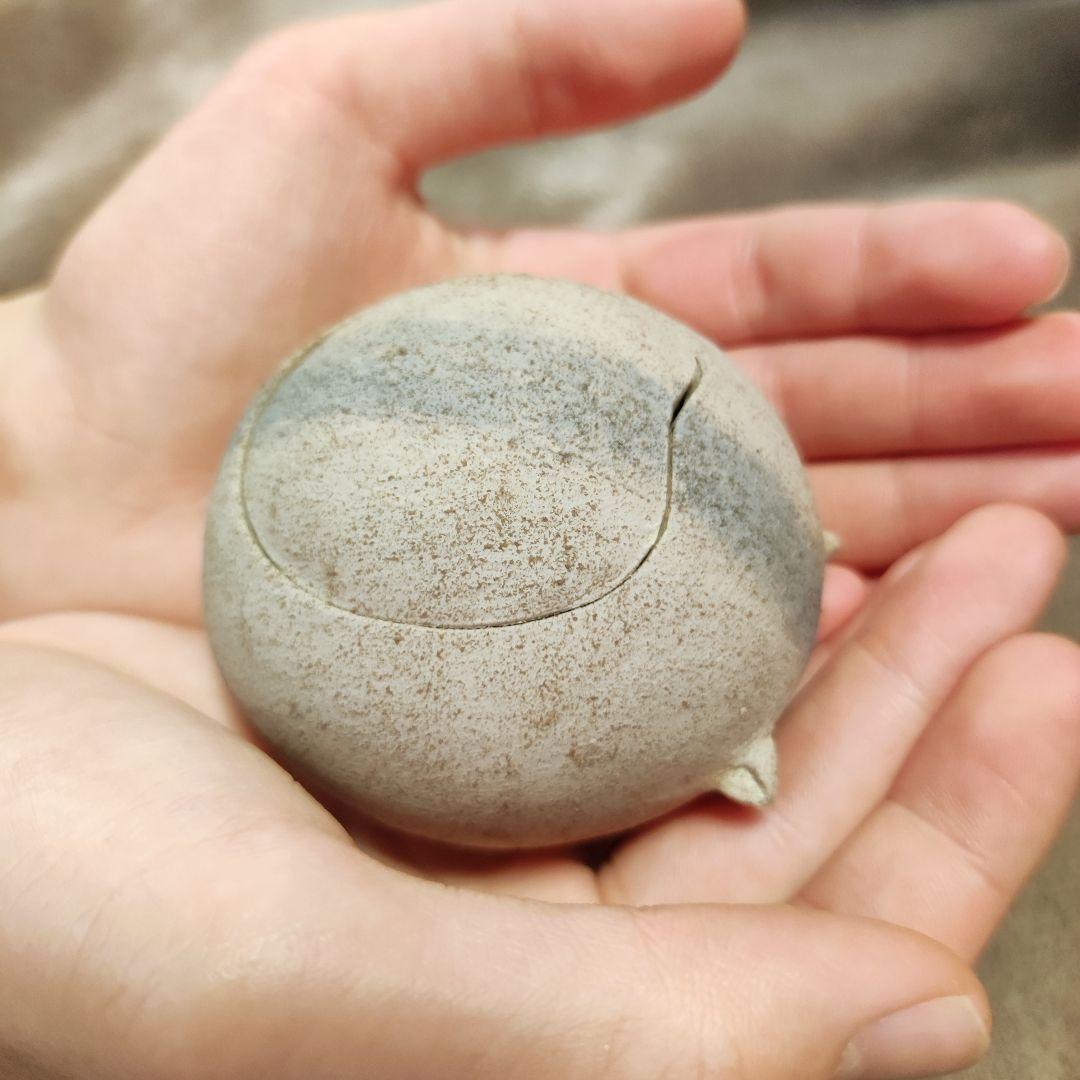 撫でてあげられるハムスターおこつぼ