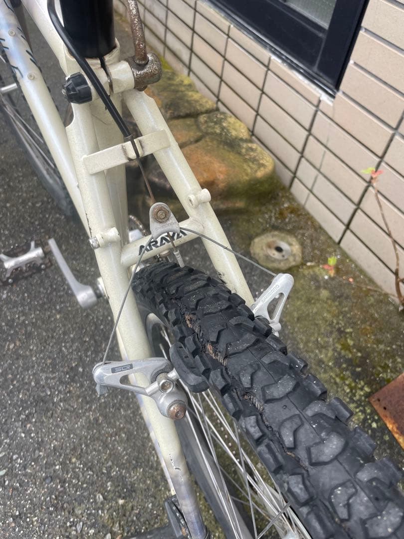 アラヤ　マディフォックス