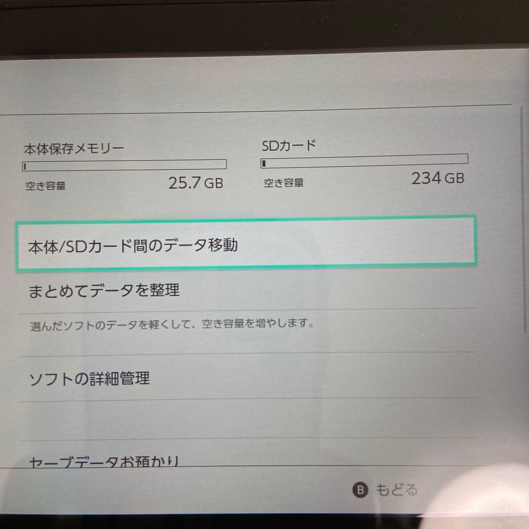 Nintendo Switch 本体 グレー バッテリー強化 メモリーカード付