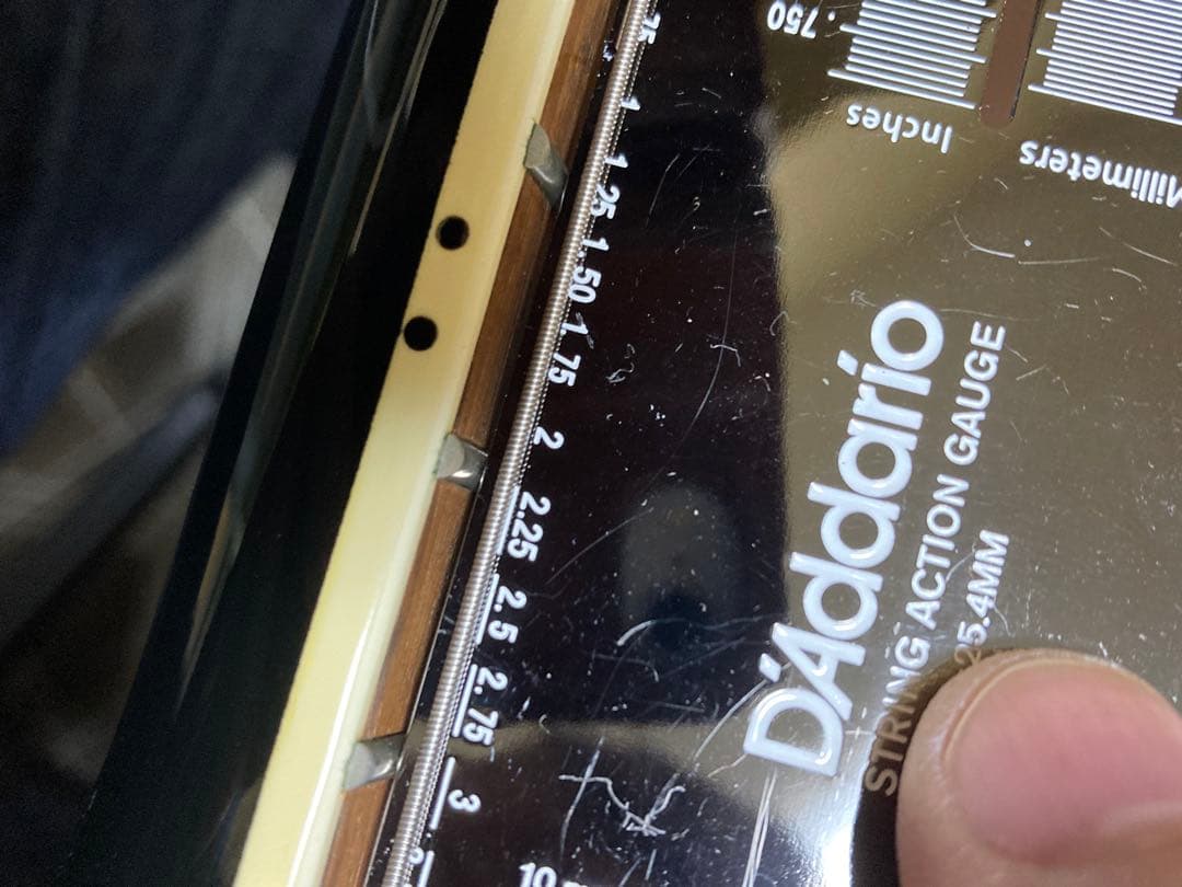 ギター Fernandes TEJ-55G