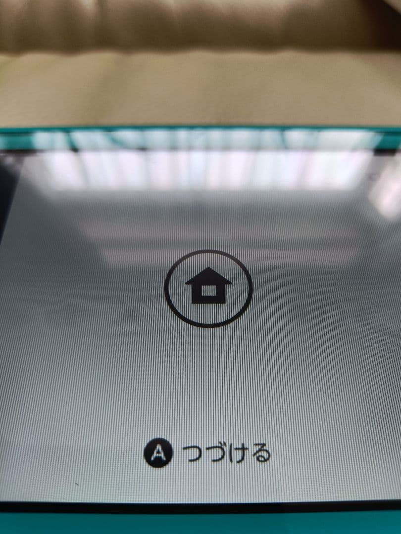 Nintendo Switch Lite ターコイズ　本体　訳あり　ジャンク