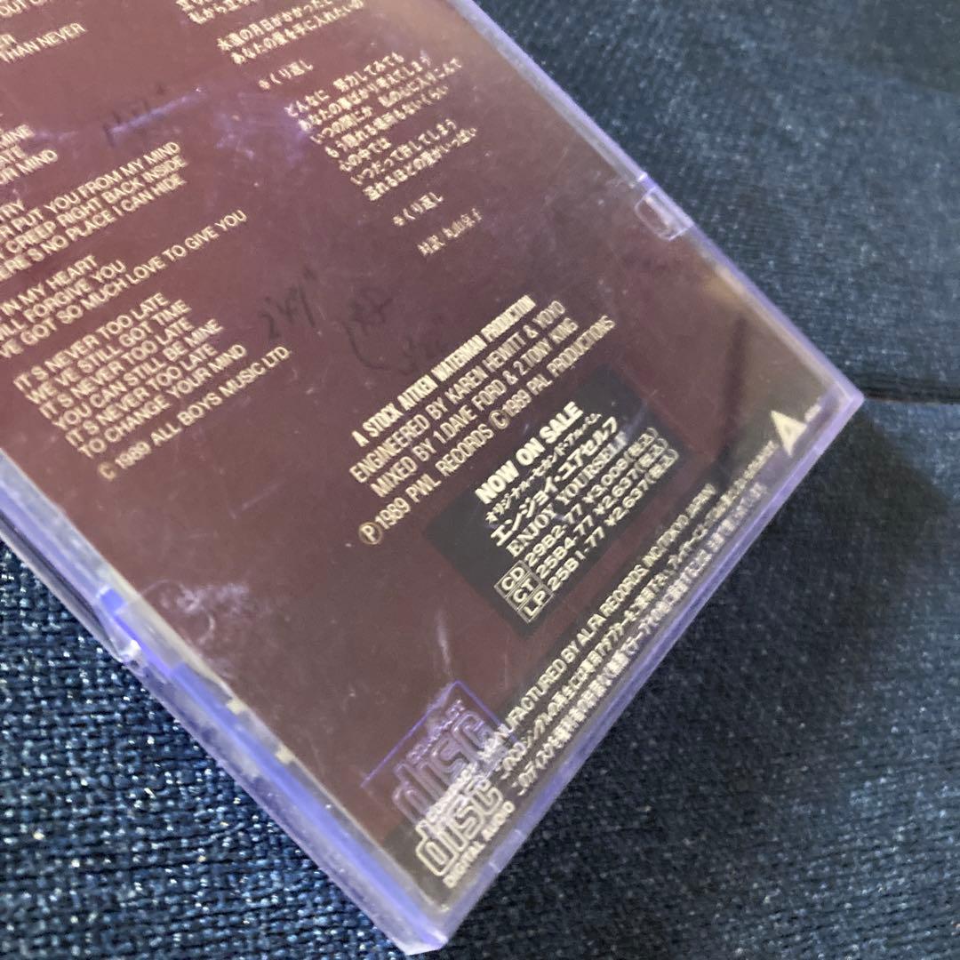 Kylie Minogue Never Too Late 8センチ8cmシングル