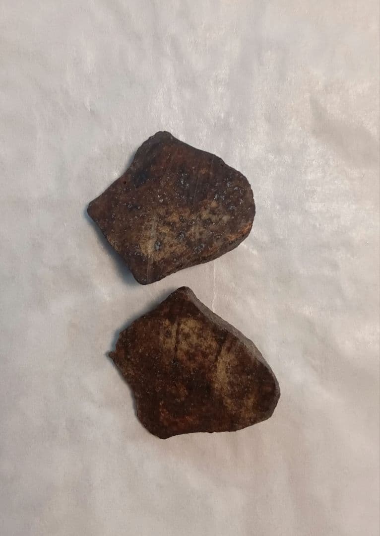 コンドライト隕石L5-6 鑑別書付き モロッコ産