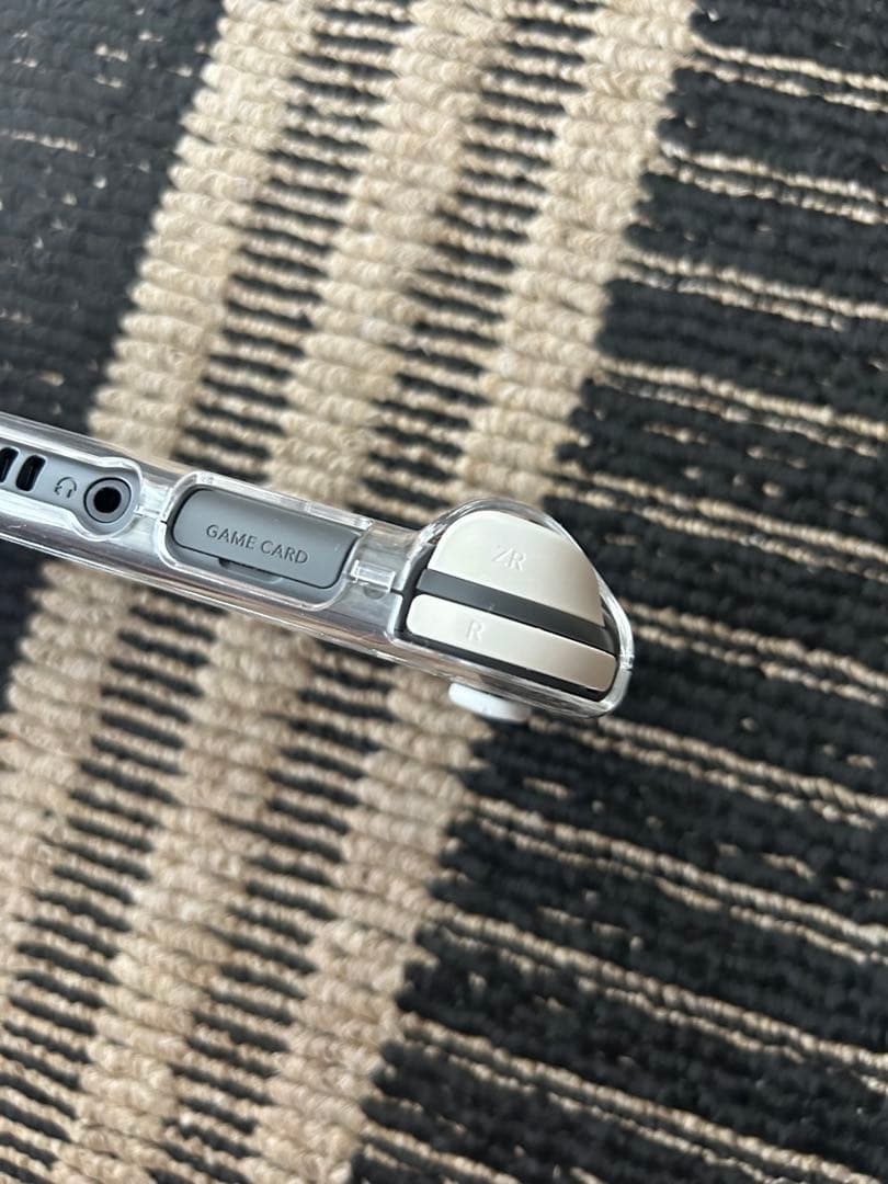 Nintendo Switch Lite 本体 充電器 ケース付き