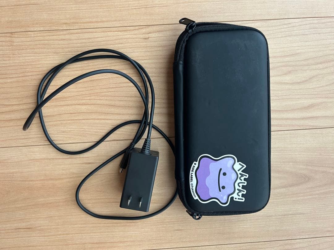 Nintendo Switch Lite 本体 充電器 ケース付き