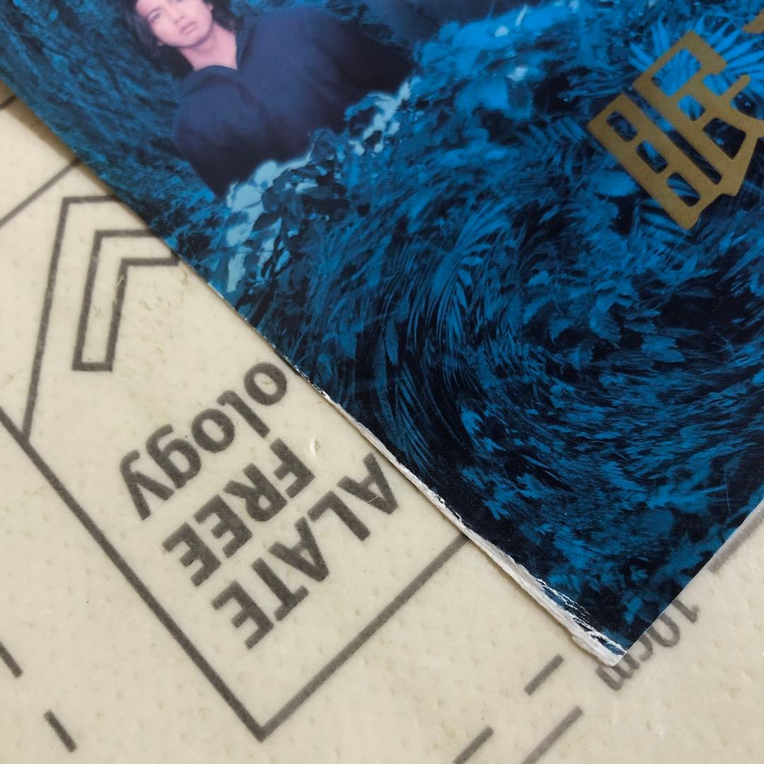 DVD 眠れる森　中山美穂