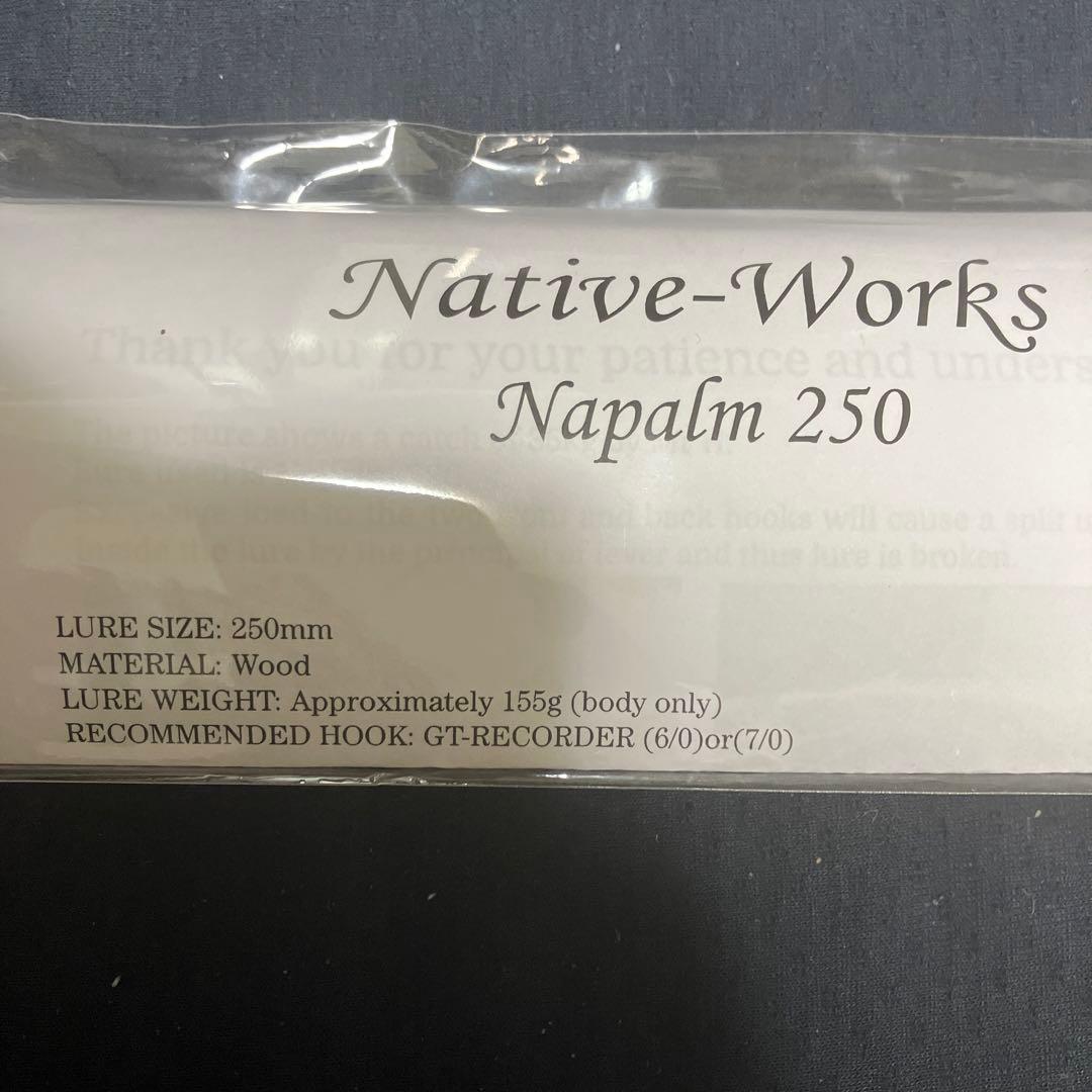 新品　ナパーム250 ブラック