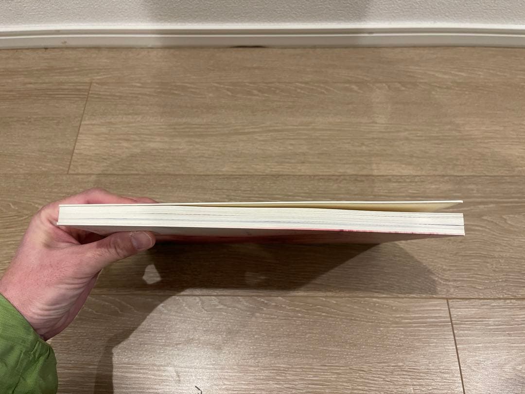 Wolfgang Tillmans Freischwimmer 写真集 おまけ付