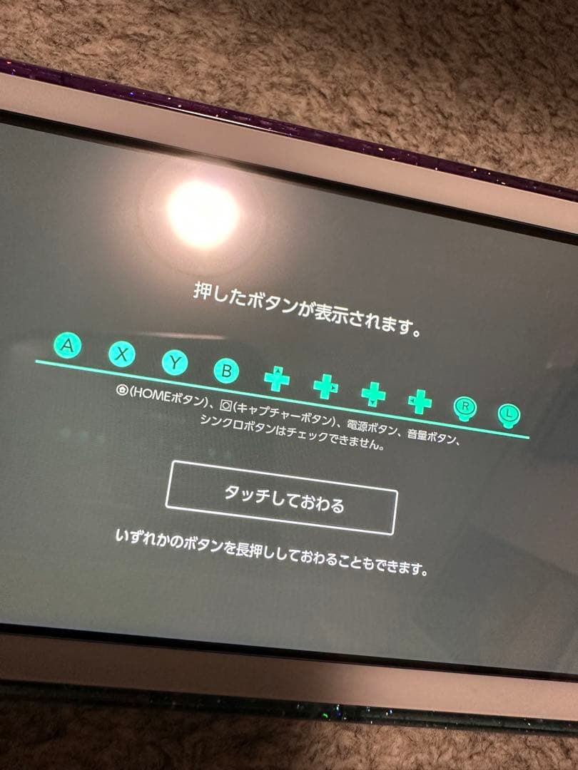 Nintendo Switch Lite 外装カスタム