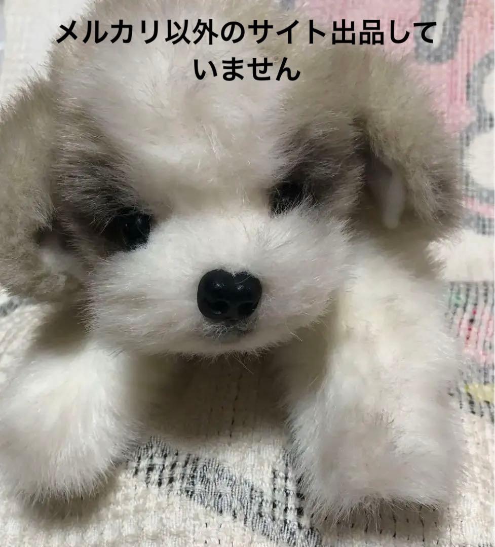 四季オリジナル　ぬいぐるみ　シーズー　犬　中古品　寝そべりポーズ