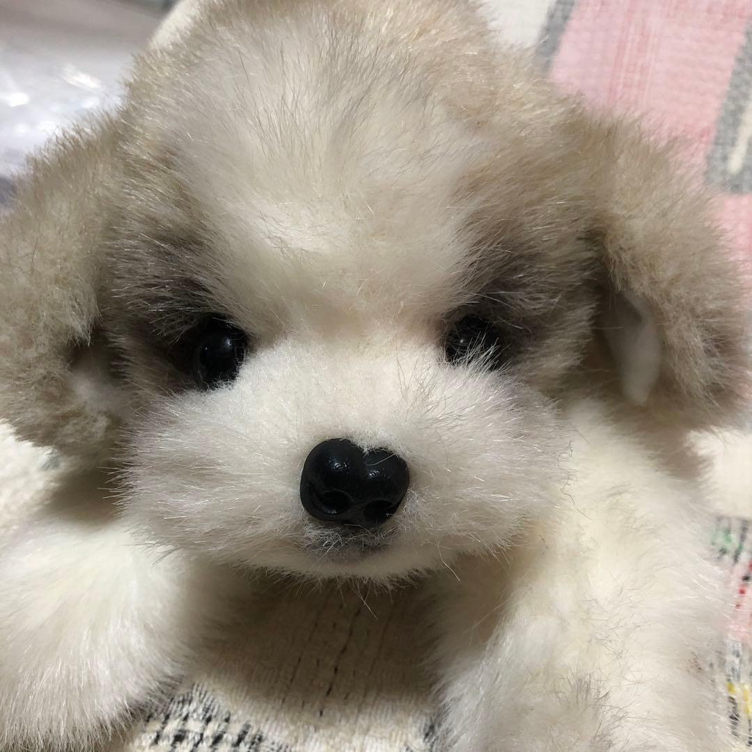 四季オリジナル　ぬいぐるみ　シーズー　犬　中古品　寝そべりポーズ