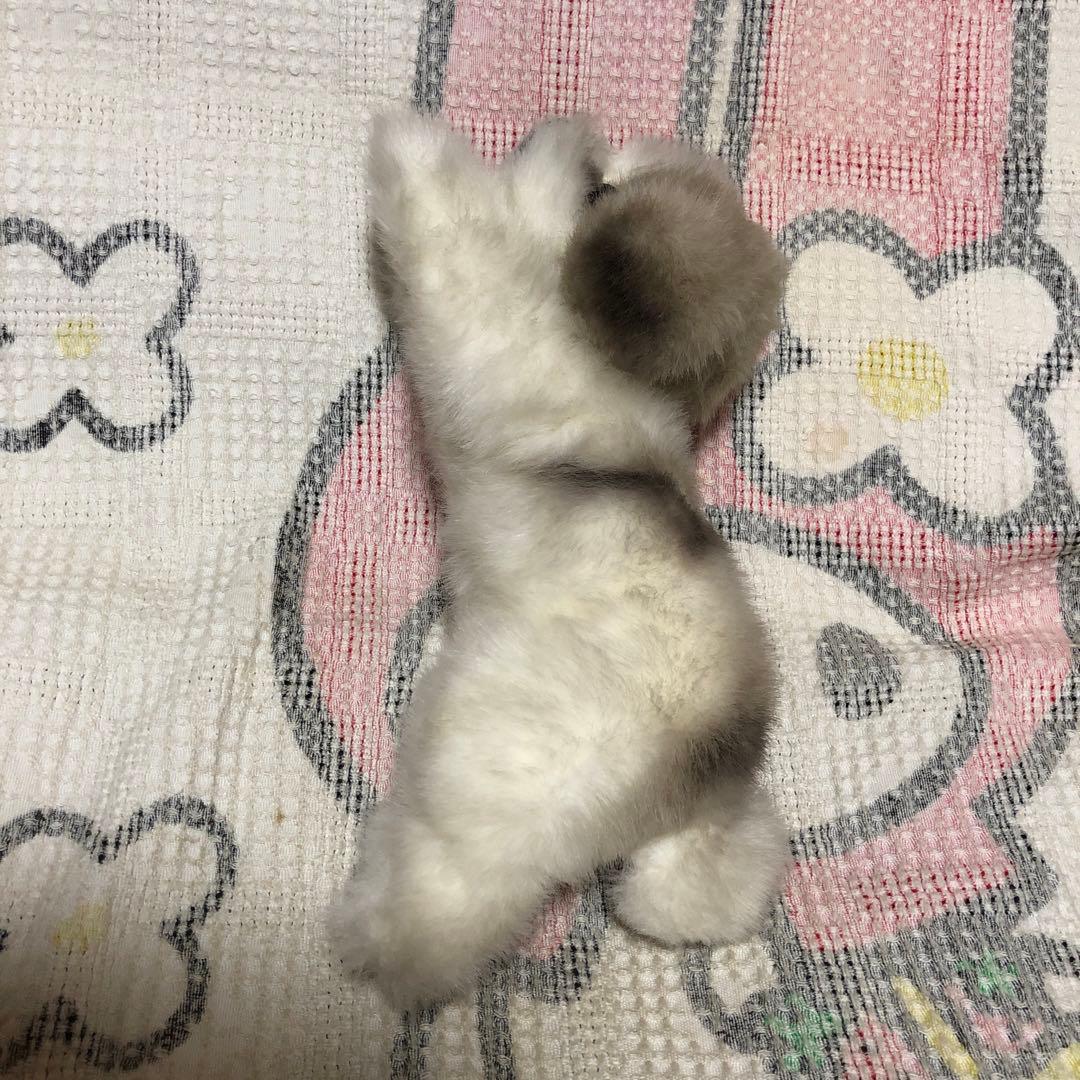 四季オリジナル　ぬいぐるみ　シーズー　犬　中古品　寝そべりポーズ