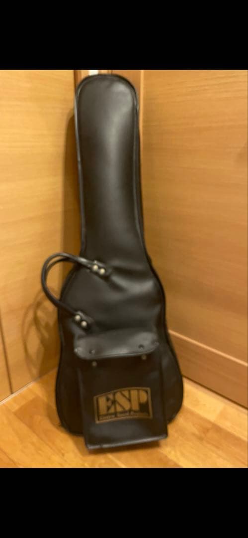 ESP HORIZONⅡ イーエスピー　ホライゾンスルーネック　96年　美品