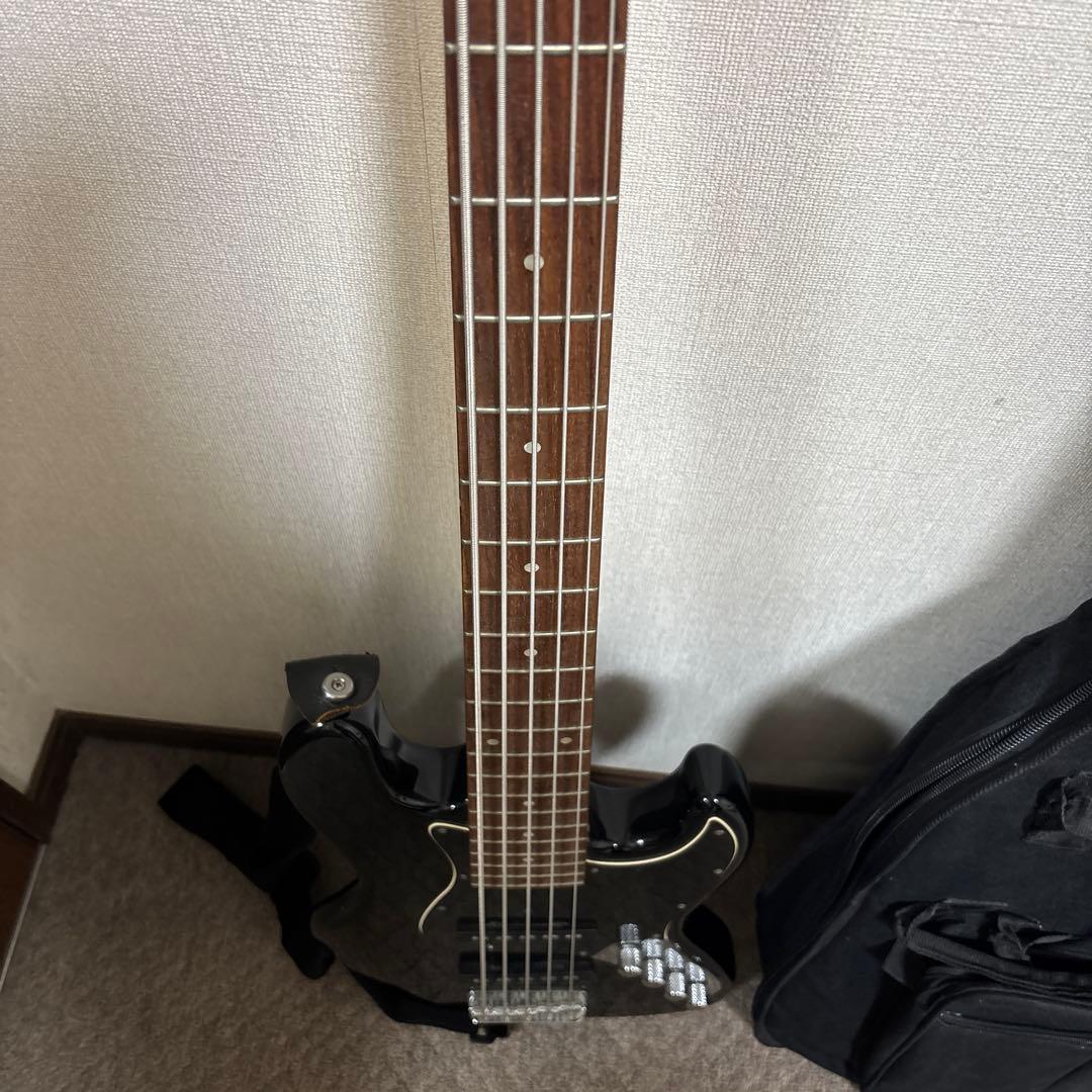 Bacchus Universe Series 5弦ベース WJB5系　ケース付