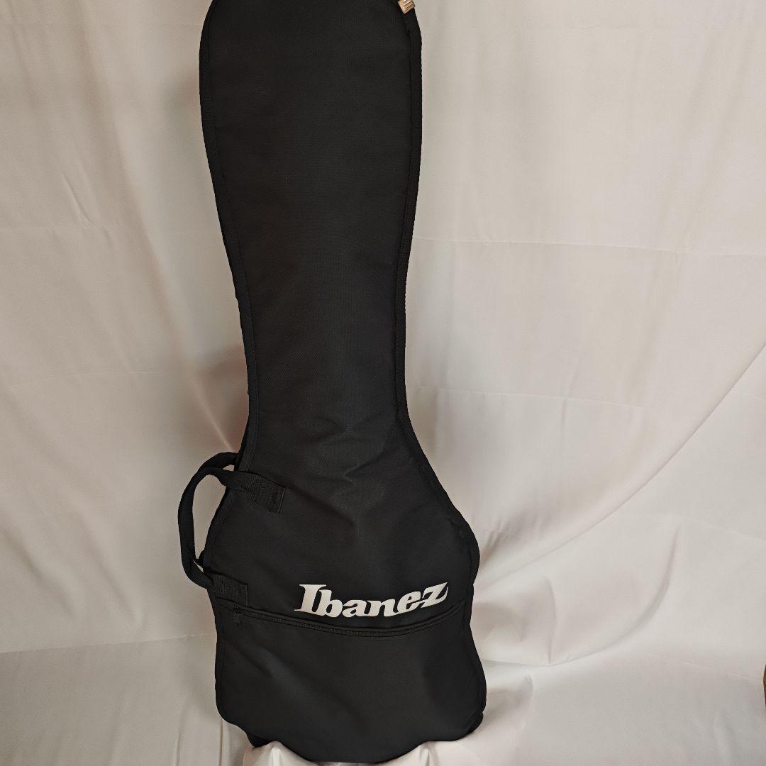 Ibanez アイバニーズ エレキギター RG460VFM-BBT