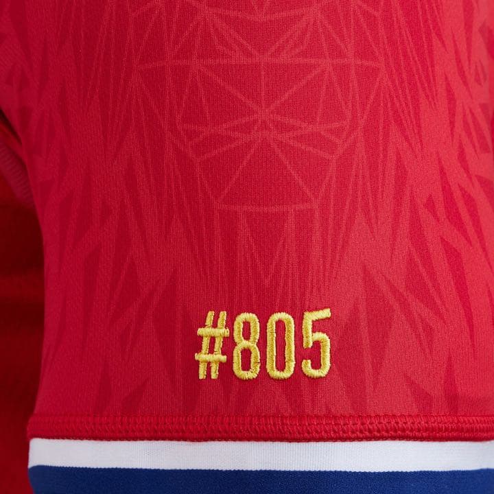 British & Irish Lions 選手仕様限定テストジャージ S