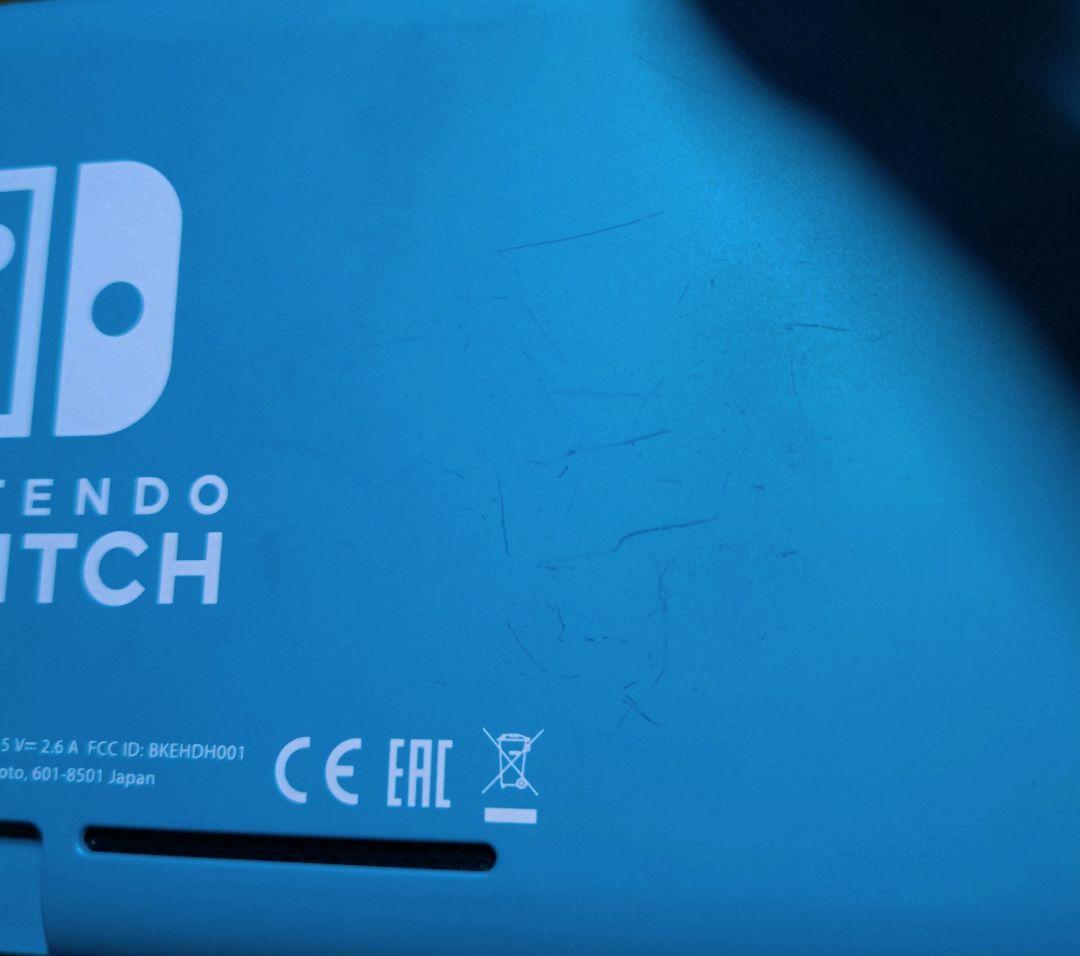 Nintendo Switch Lite本体 ターコイズ 専用ケース付き