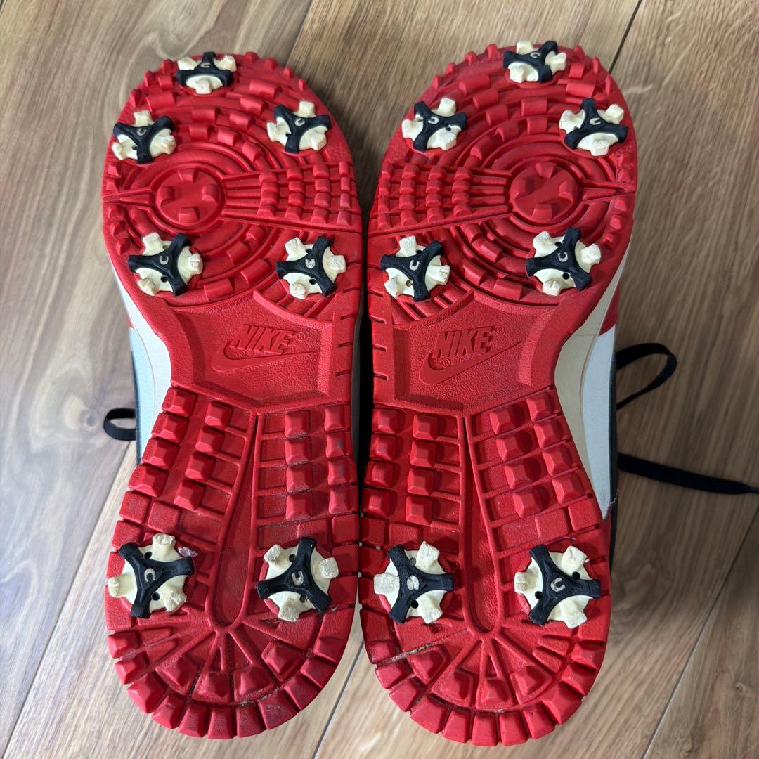 NIKE　DUNK　ナイキ　ゴルフ　27.0cm 488345-106