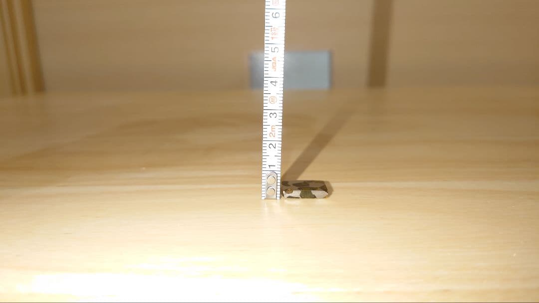 イミラック隕石　イミラック　隕石　パラサイト