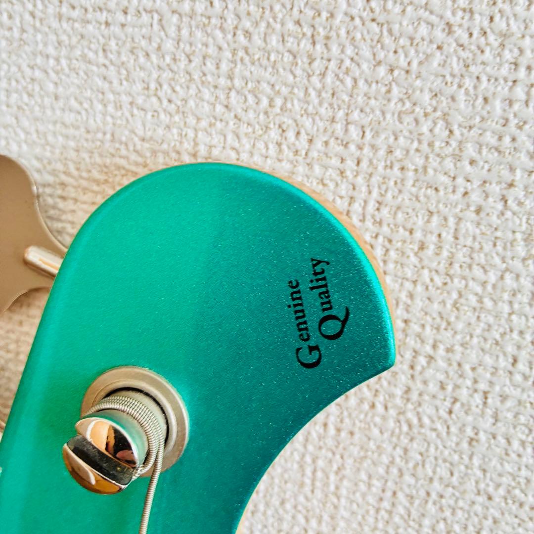 BACCHUS WL-501AC 【動作確認済】 バッカス 5弦 ベース