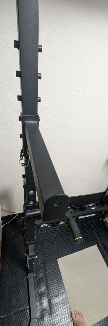 バフマンさん専用ワサイ WASAI ハーフラック ぶら下がり健康器①