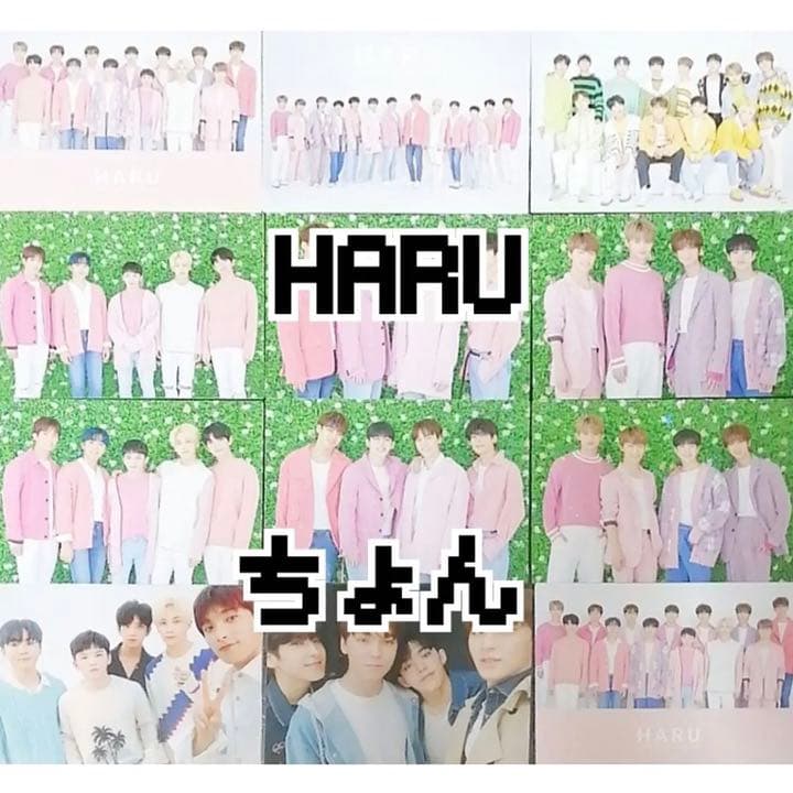 セブチ ハルコン トレカセット