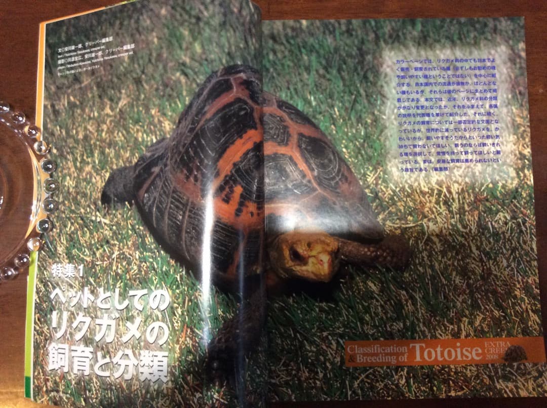 EXTRA CREEPER エクストラ・クリーパー 全4冊 誠文堂新光社