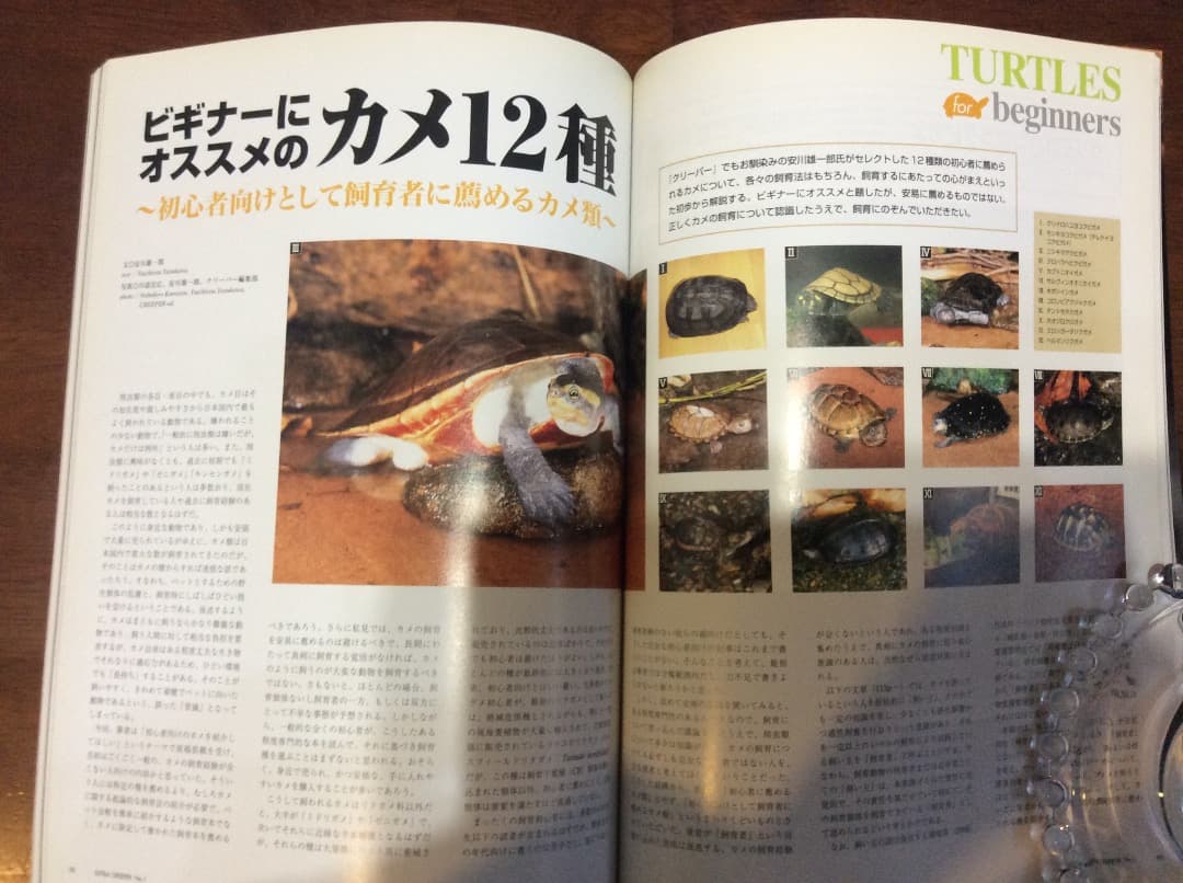 EXTRA CREEPER エクストラ・クリーパー 全4冊 誠文堂新光社