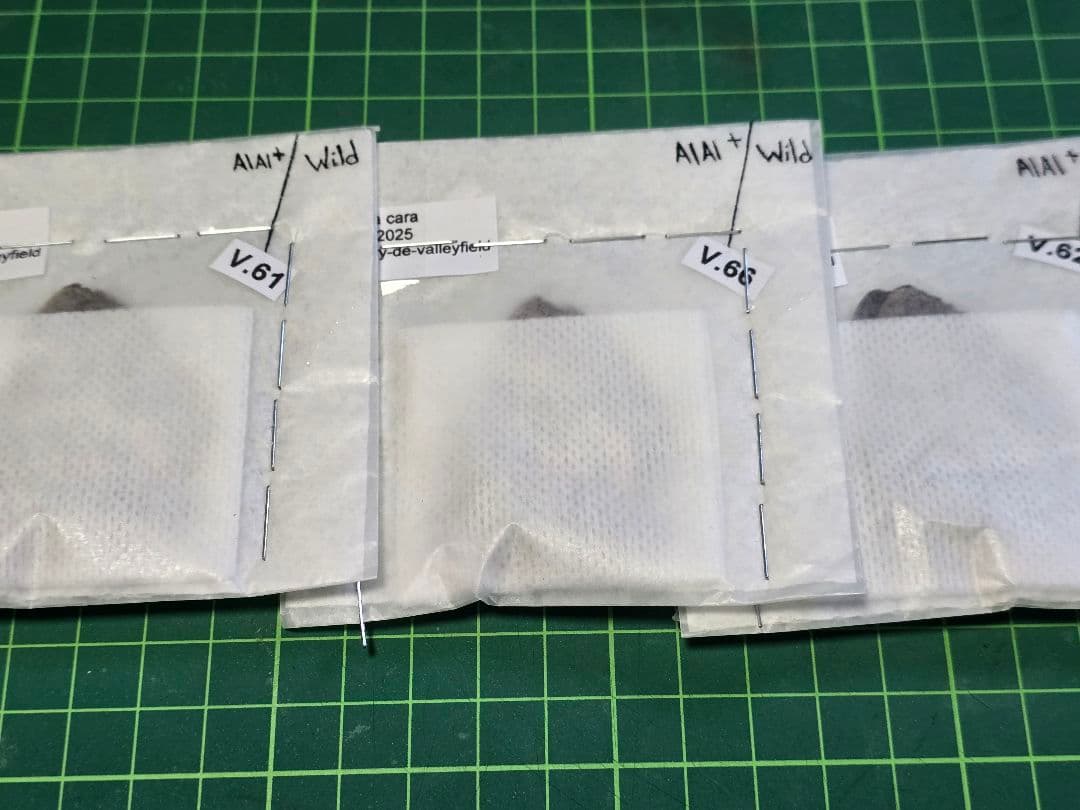 Catocala cara 3頭セット