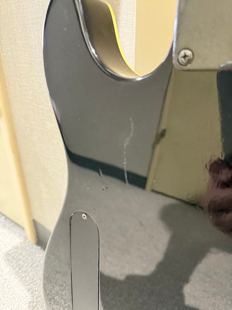 FERNANDES TEJ-75　白文字F.G.I