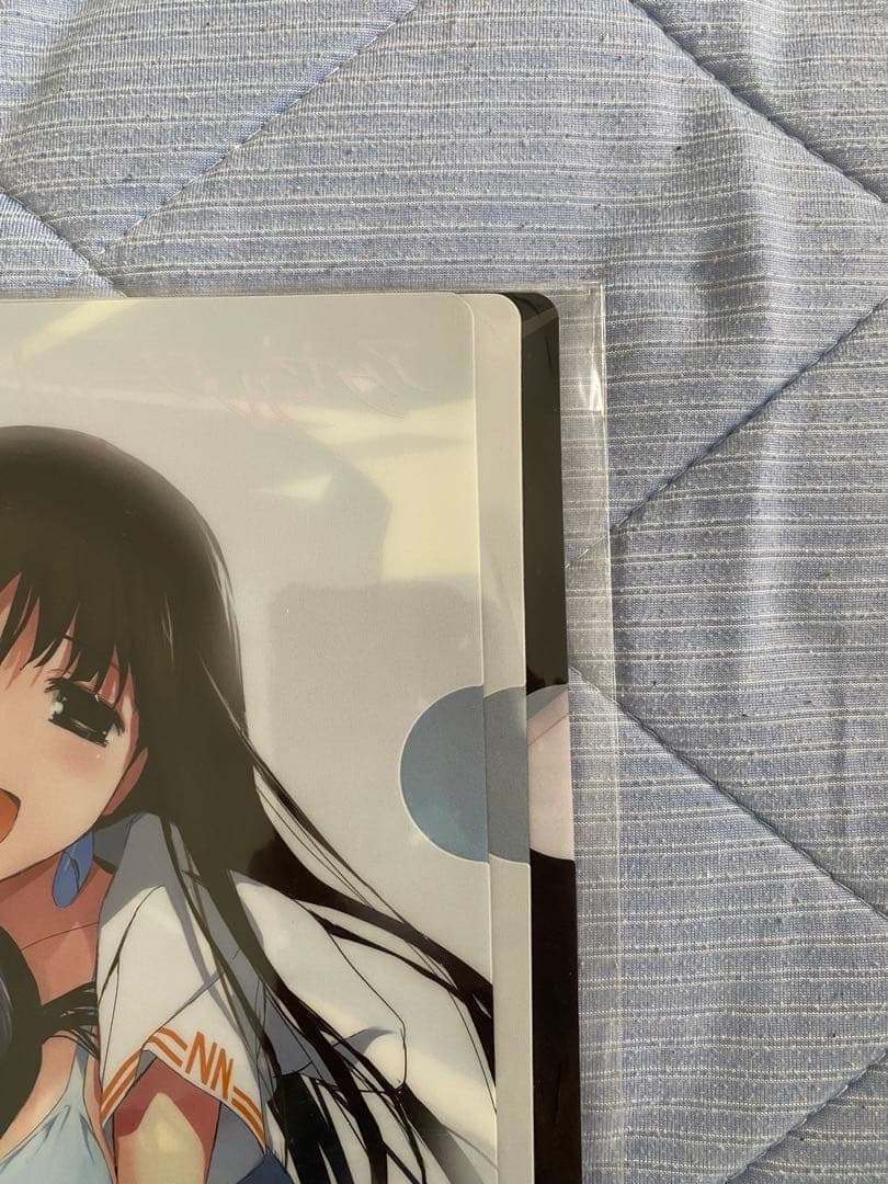 アクセルワールド　クリアファイル