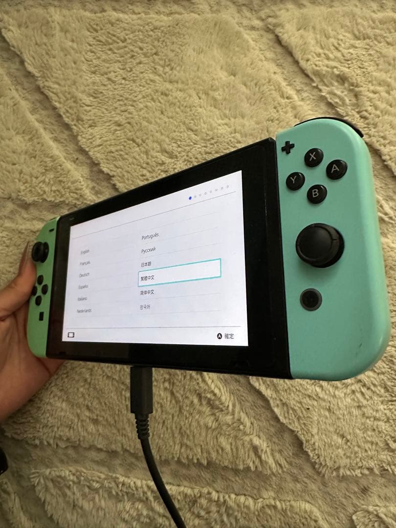Nintendo Switchあつまれ どうぶつの森セット