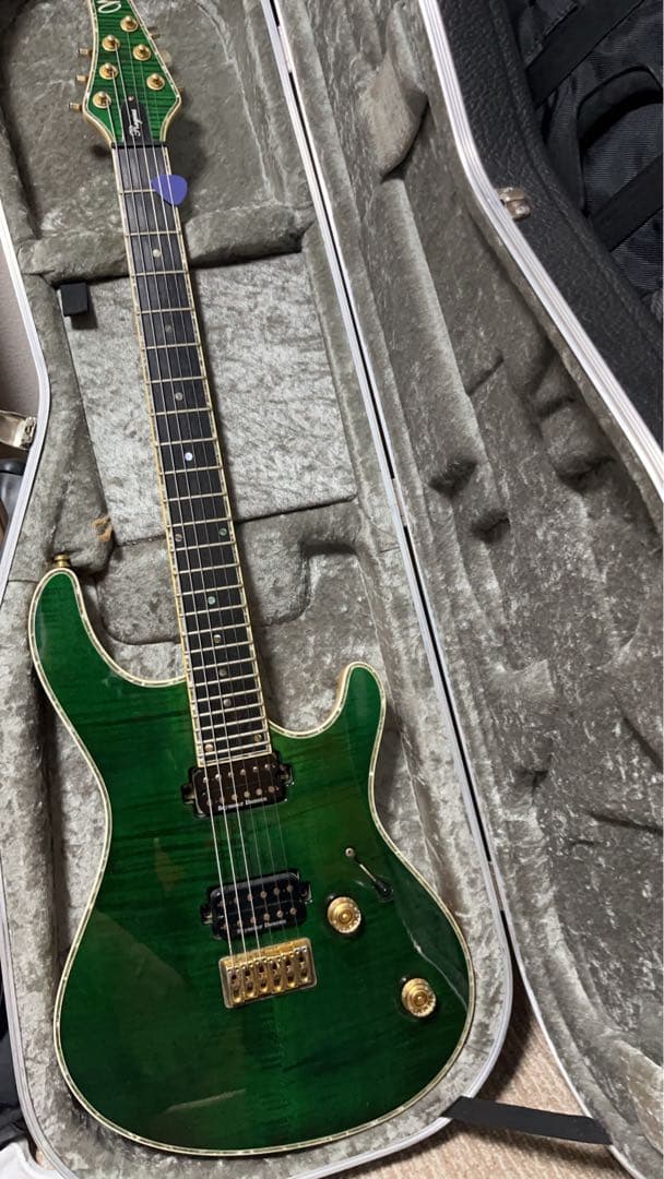 ギター MAYONES Regius6 REG6-TEGRNG