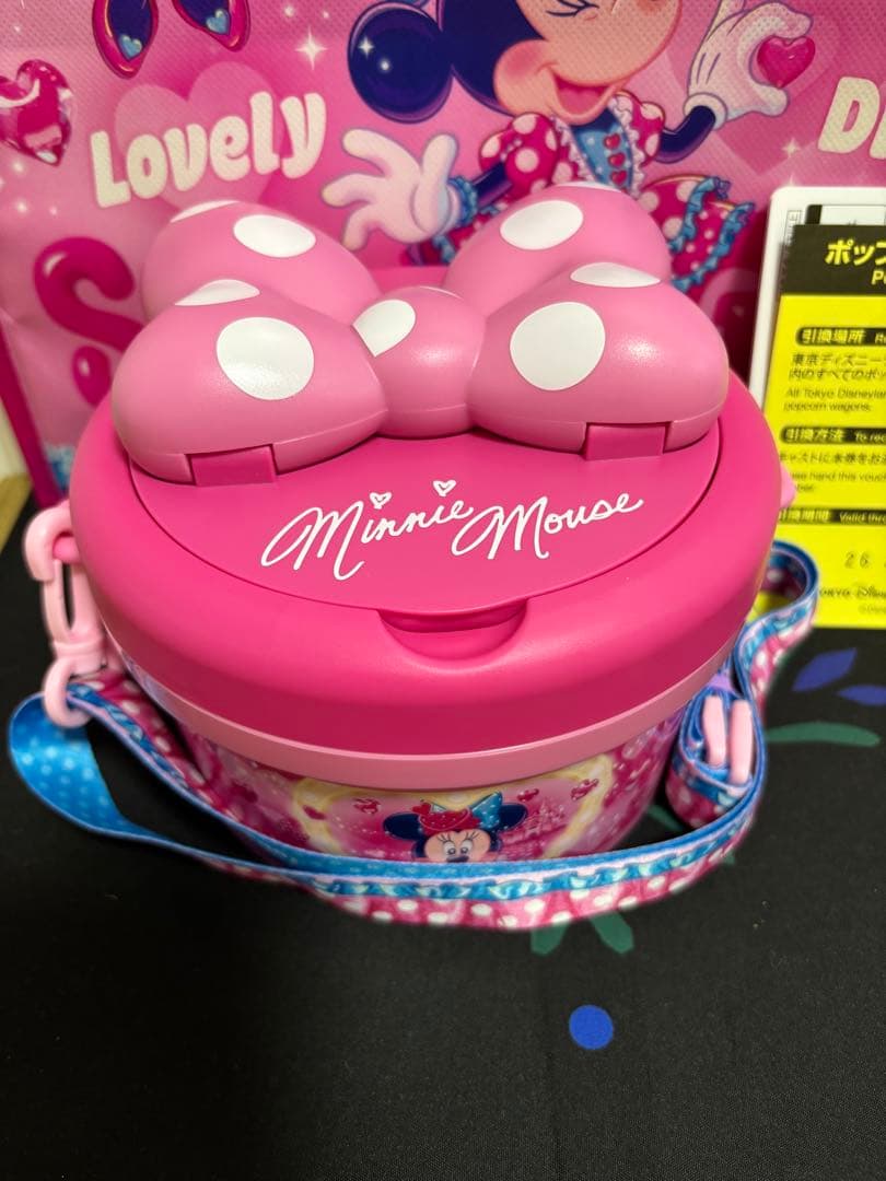 ミニーのファンダーランドポップコーンバケット パルパルーザポップコーン引換券付き