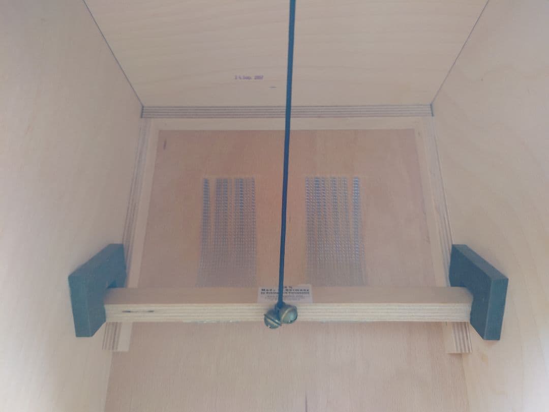 16日までセール　Schlagwerk カホン 2inOne SR-CP404